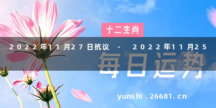 2022年11月27日抗议 - 2022年11月25
